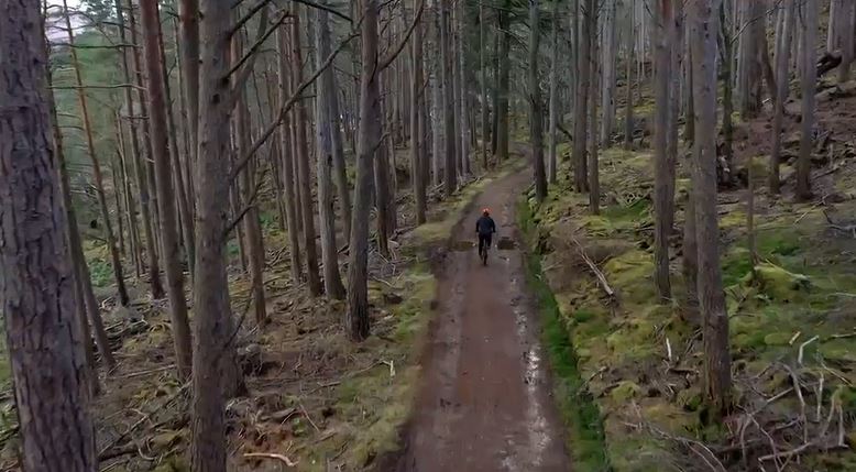 In attempts to become a 'greener' show This Morning purchased a forest and use it to occasionally film segments of the show