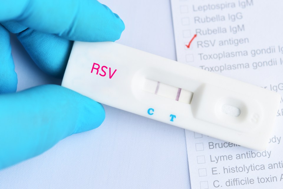 RSV is one of the 'big three' viruses health bosses fear could trigger a 'tripledemic' this winter