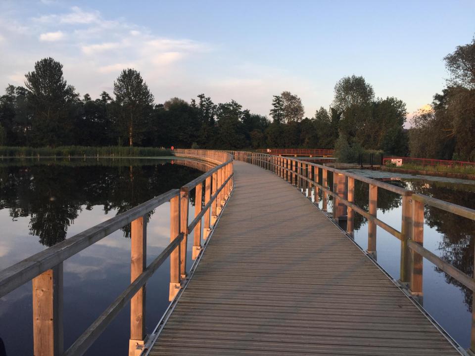 The park also has a lake for boating - and a quieter one for carp fishing