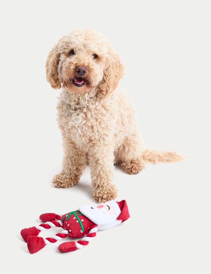 The Santa dog to is the perfect gift for your furry friend this Christmas