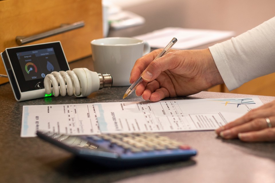 a person is using a calculator and a pen to fill out a form