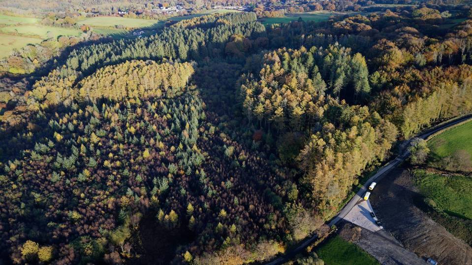 an aerial view of a forest with a road going through it