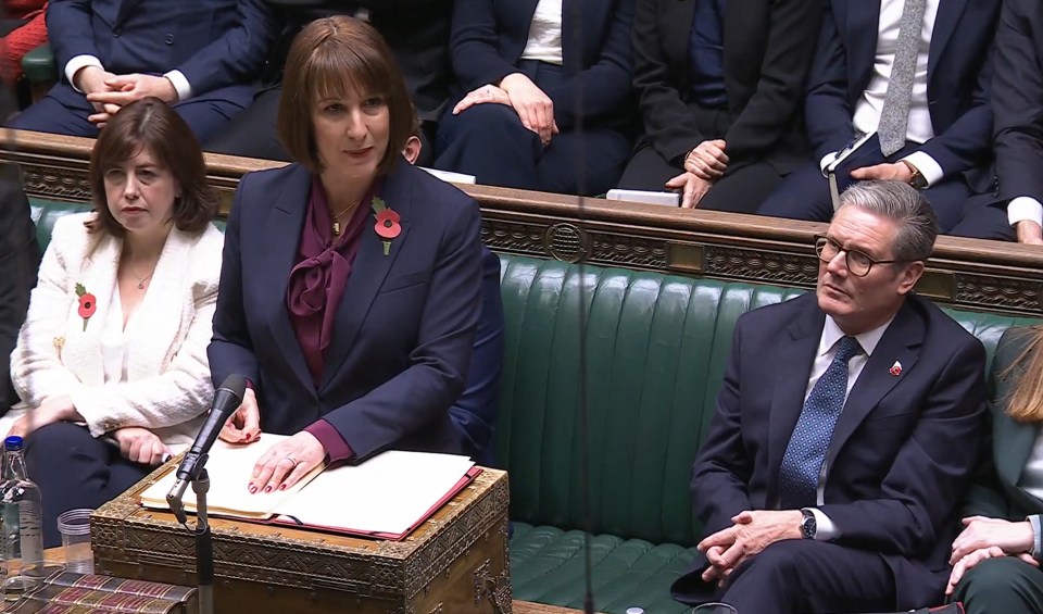 Rachel Reeves has revealed her Autumn Statement in the Commons today