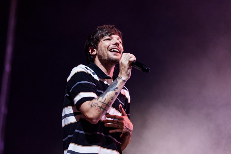 Louis Tomlinson fans were stunned when his rarely-seen lookalike son appeared in a TikTok video