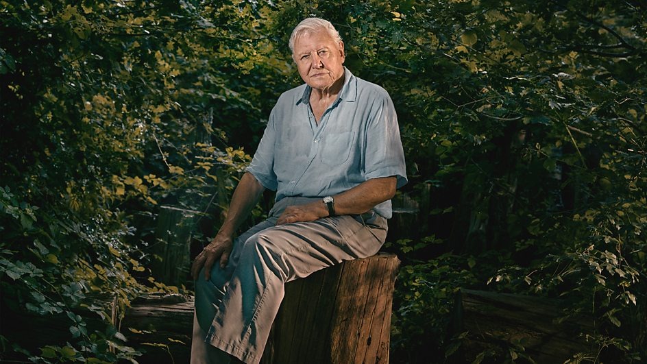 The BBC has announced a new wildlife series headed up by David Attenborough