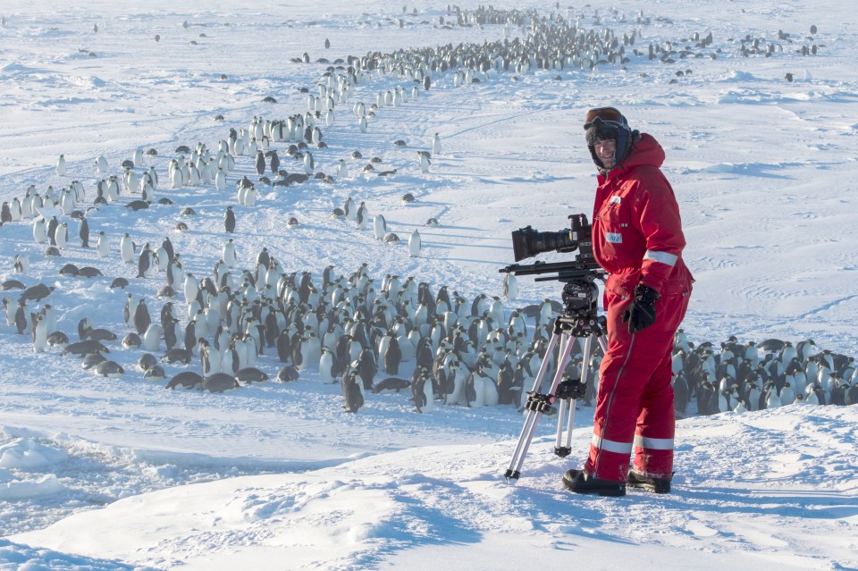 a man in a red suit is standing in front of a large flock of penguins