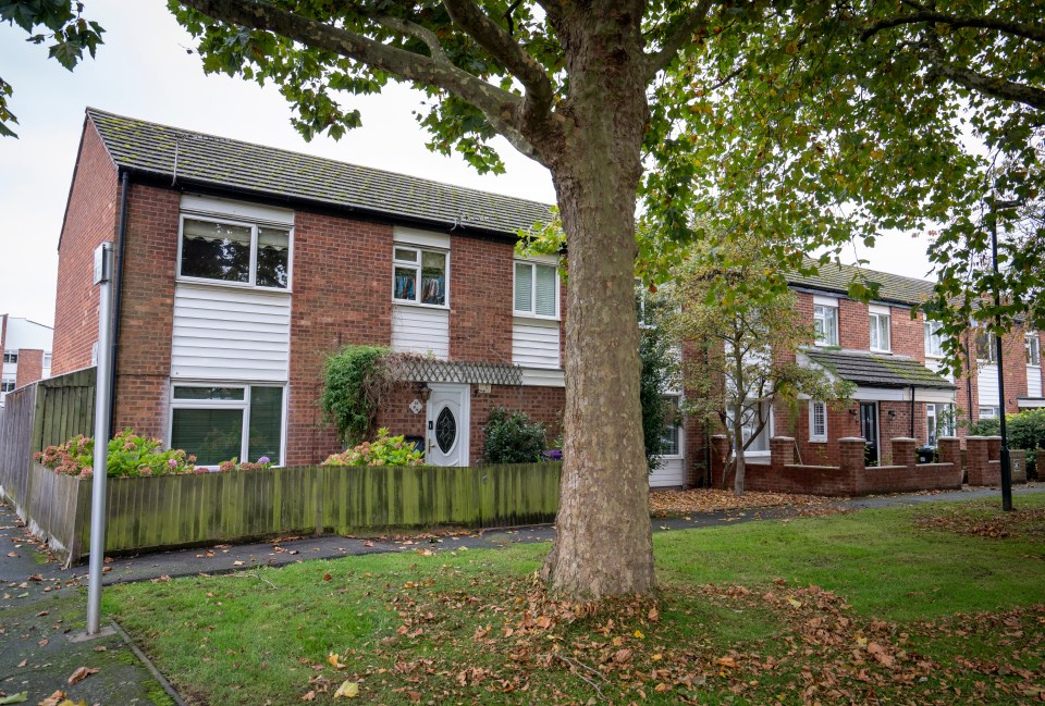 a brick house with a white trim and a tree in front of it