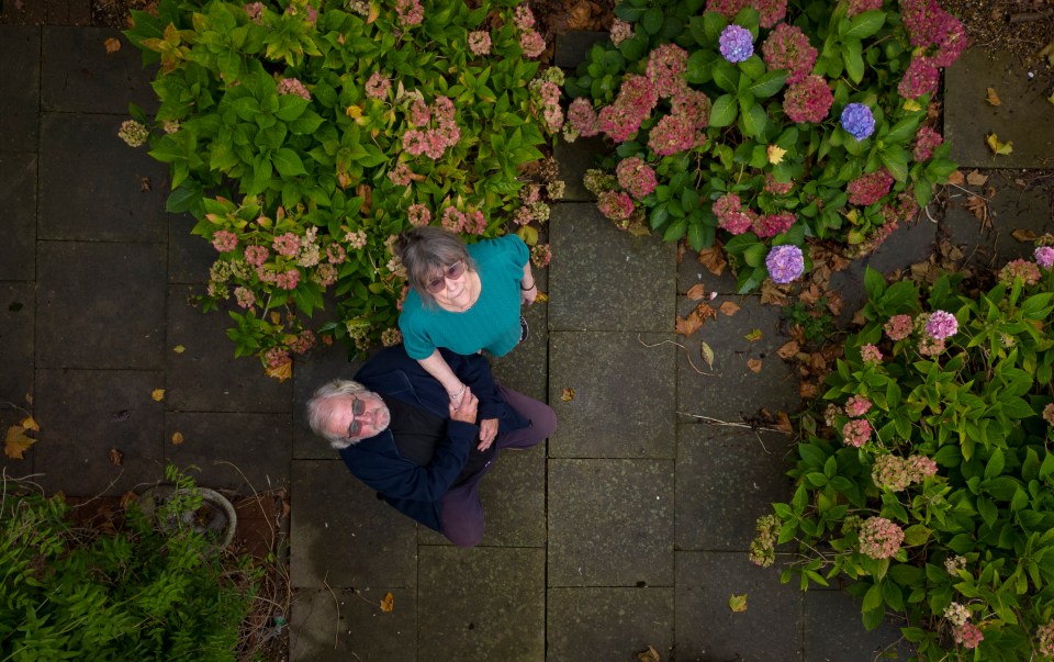 an aerial view of a man and woman in a garden