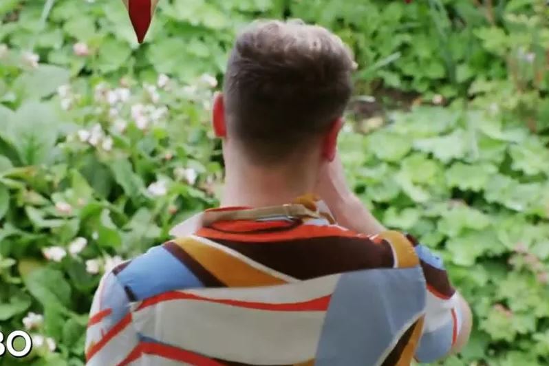 a man in a colorful shirt is standing in front of a lush green garden .