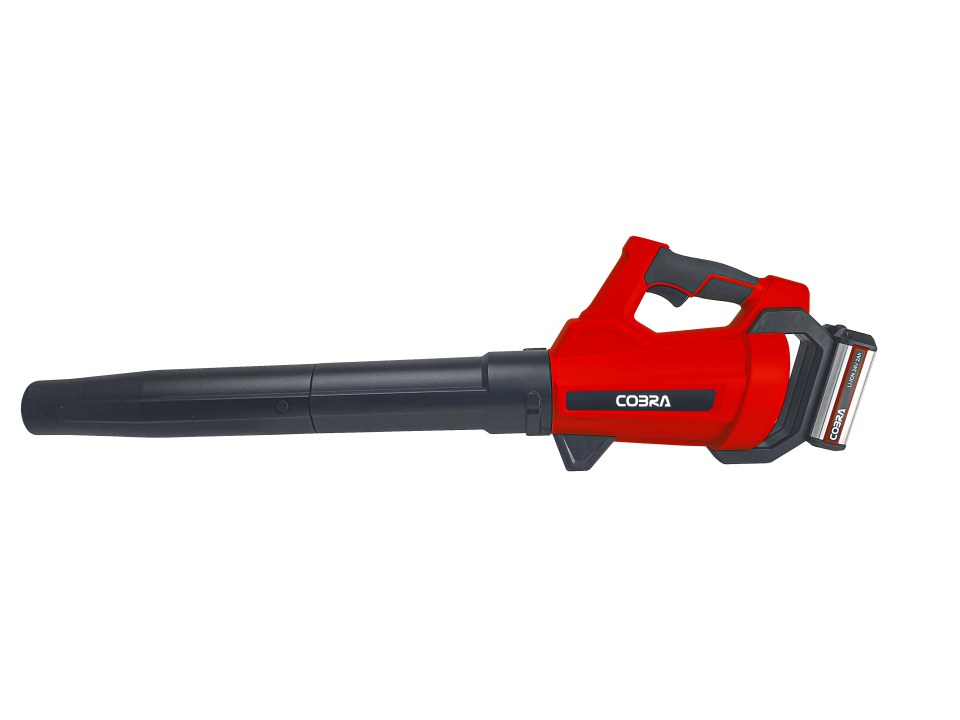 The leaf blower has a 25 minute run time - with a powerful engine.