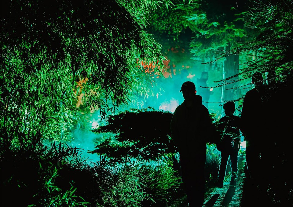 Moors Valley Country Park in Dorset is debuting a Halloween illuminated trail