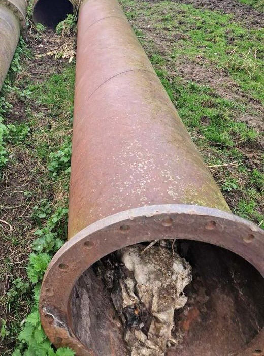 A big cat hunter has discovered a pipe filled with sheep carcasses inside