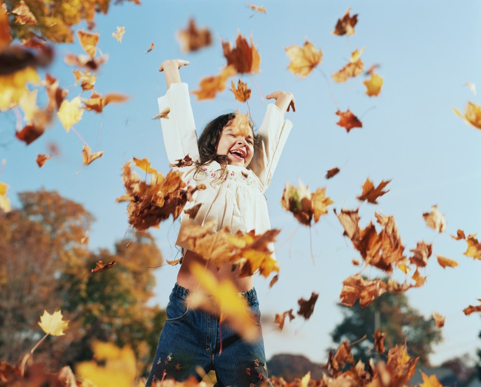 a little girl is throwing leaves in the air