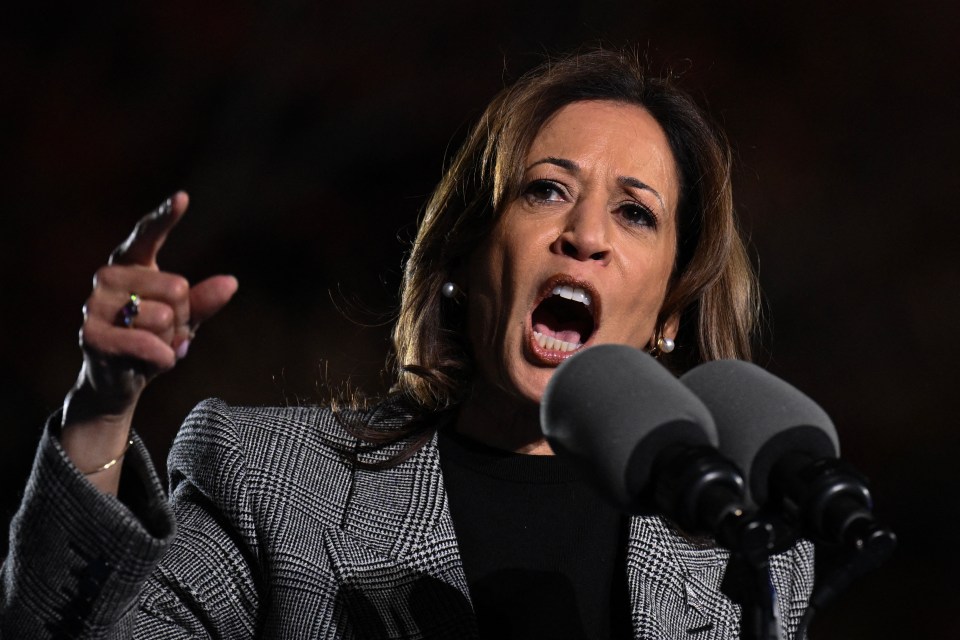 Kamala Harris is set to lose next week's presidential election, Douglas McKinnon says