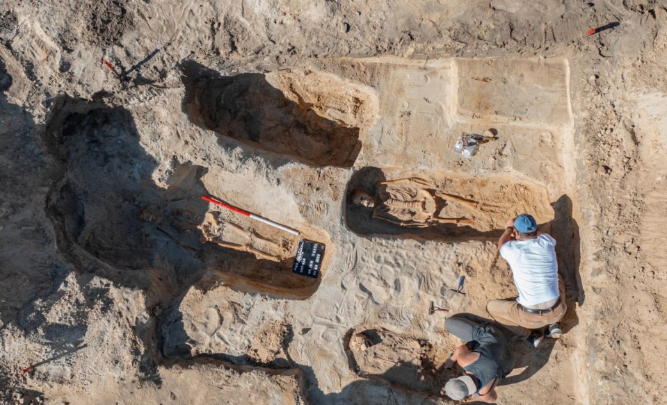 two men are digging in the dirt near a sign that says ' archaeology ' on it