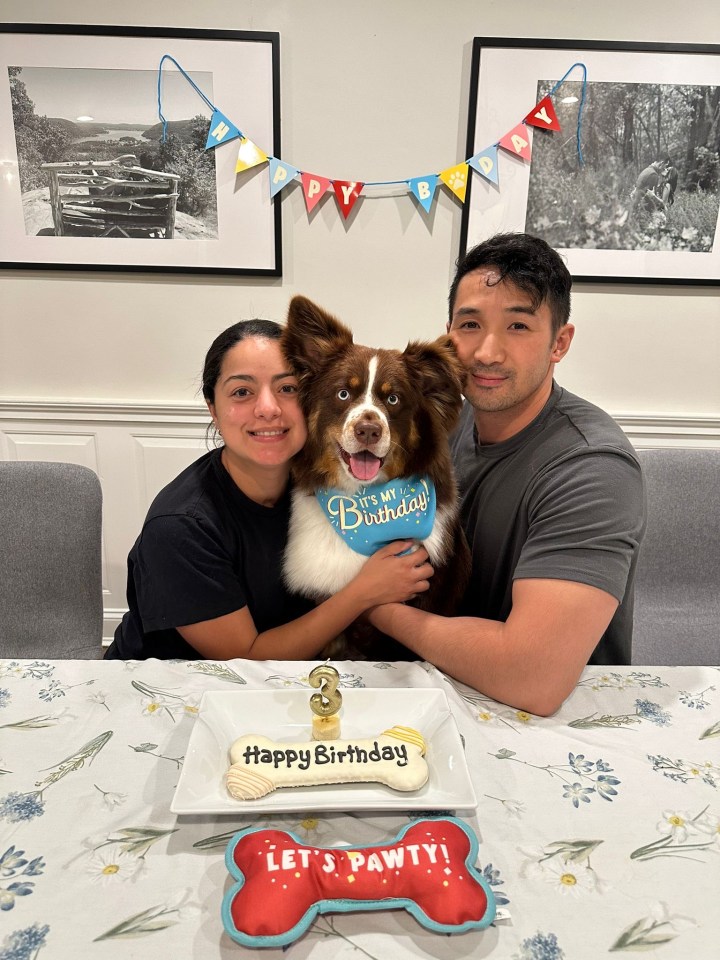 Dog Bruce managed to escape the strike after his lead was burned, pictured with Thalita and husband Joel