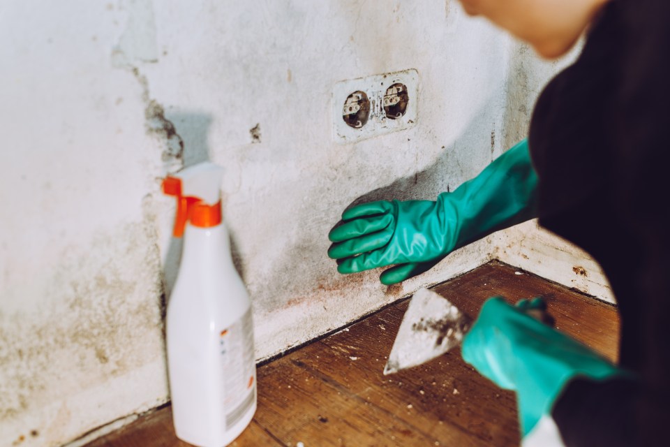 After cleaning mould, ensure you dispose of everything that may have come into contact with the spores in a sealed bag and change and wash your clothes