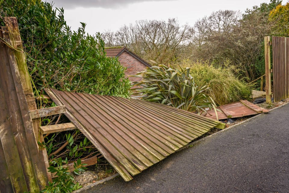 You must act now to protect your garden from windy and wet weather