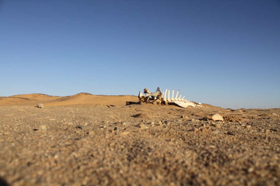 With no laws, the deserted land has been a quirky favourite for many people who wish to claim it for themselves