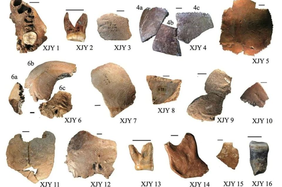 Archaeologists in China claimed they discovered a new species of human