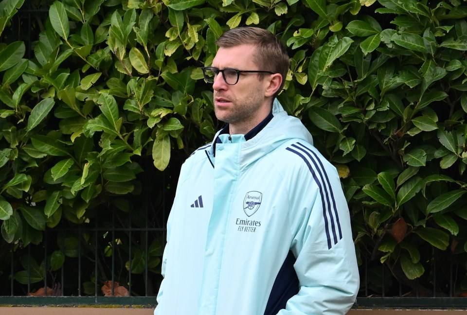 Arsenal's academy manager, Per Mertesacker, is one candidate