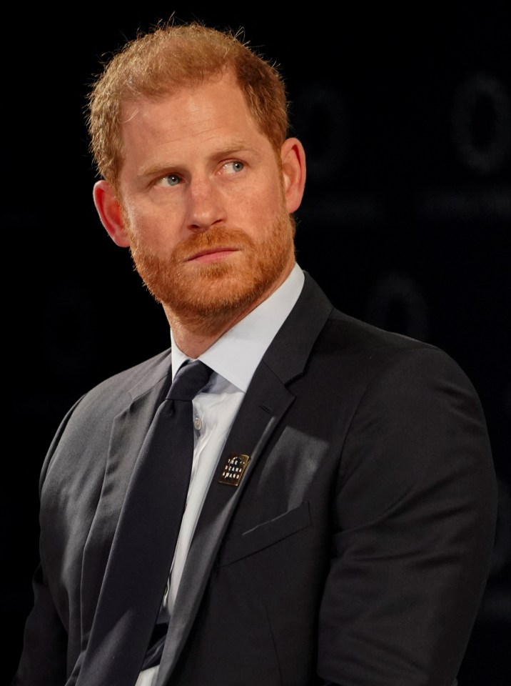 Prince Harry was branded 'stupid' for lying on his visa documents