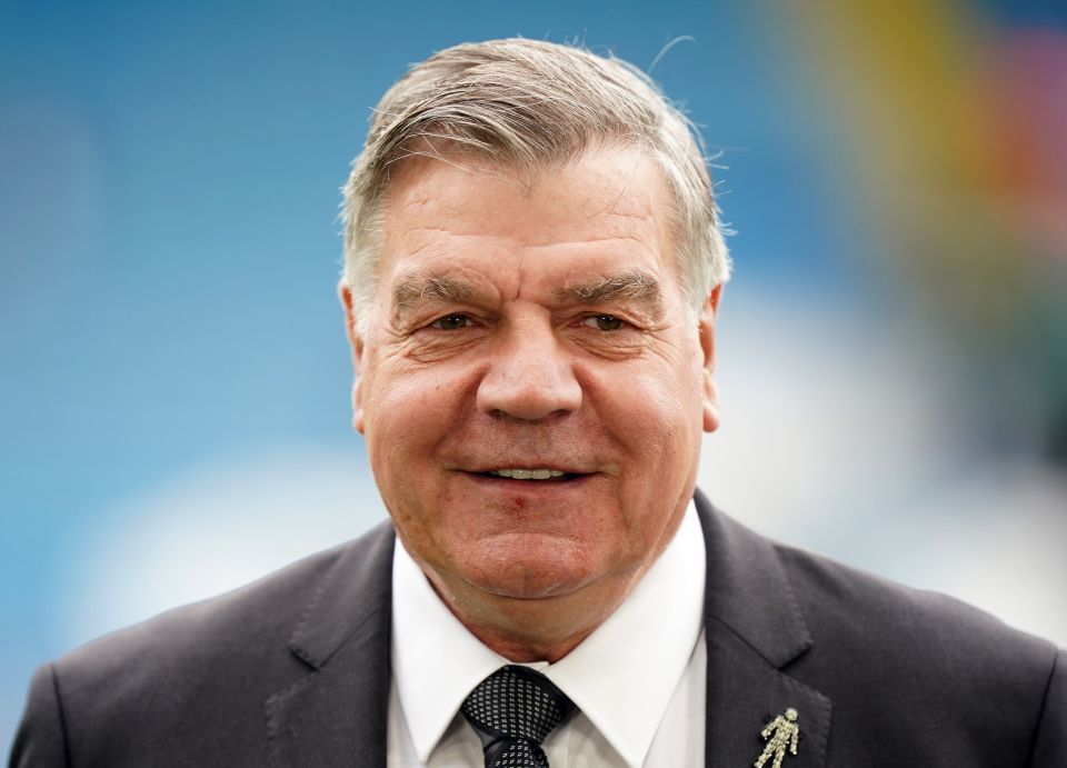 a man in a suit and tie with a brooch on his lapel