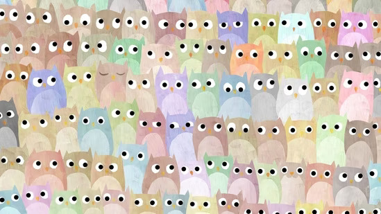 Can you spot the cat amongst the owls in seven seconds?