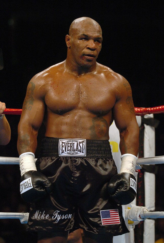 Iron Mike retired in 2005