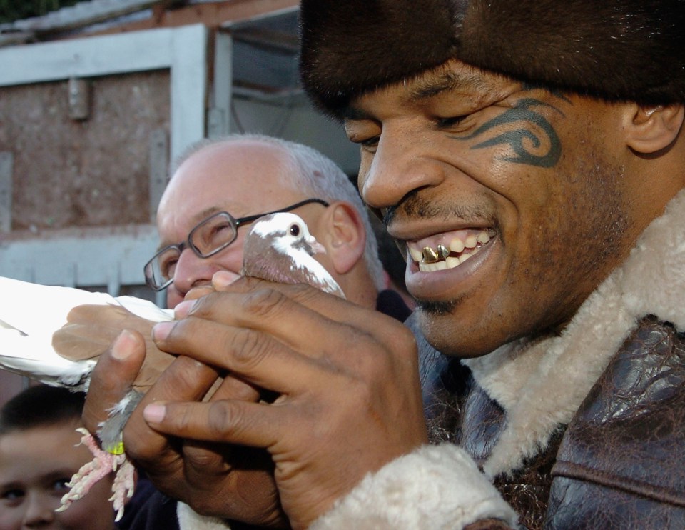 The former world heavyweight champion has a love for pigeons