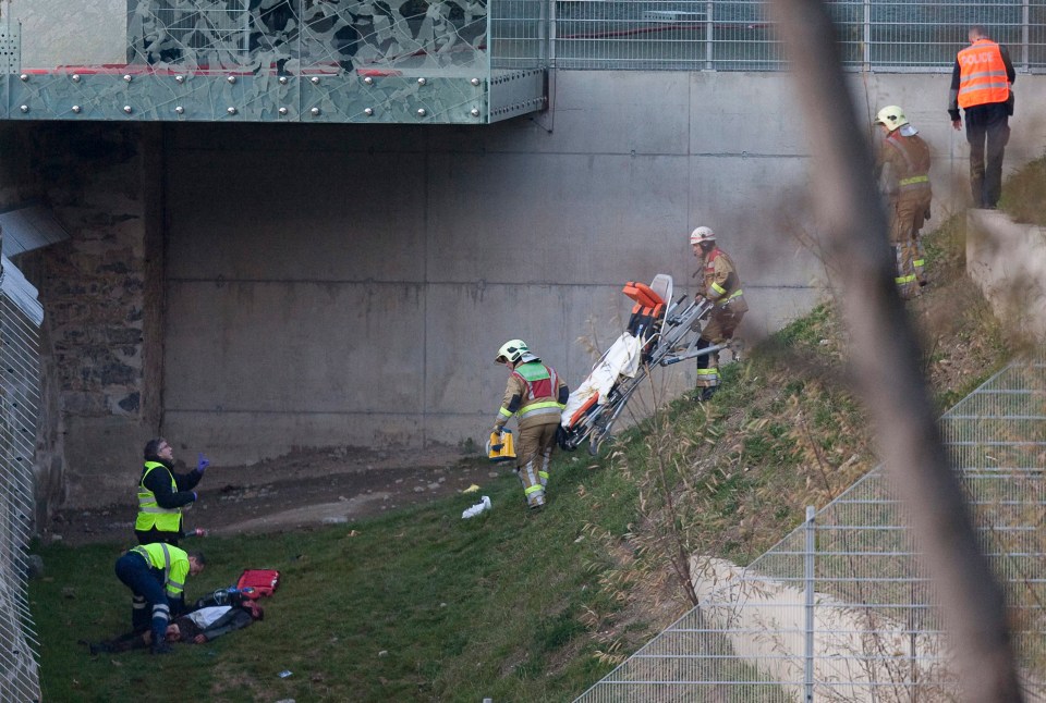 Paramedics recover the injured man out of the bear park