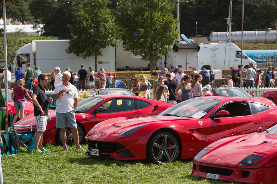 a row of red ferraris are parked in a grassy field