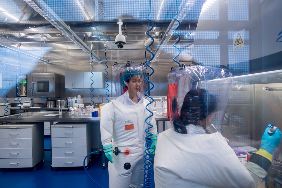 Chinese virologist Shi Zhengli at the Wuhan Institute of Virology