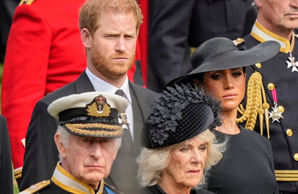 King Charles, Camilla, Prince Harry and Meghan at the Queen's funeral