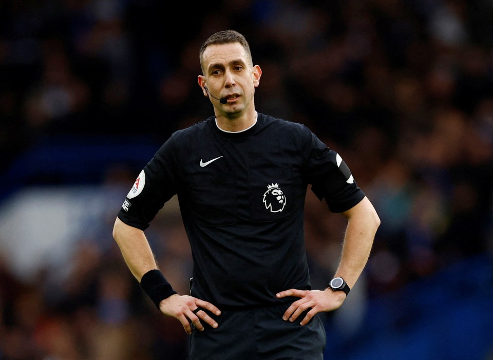 a referee wears a black shirt with a lion on it