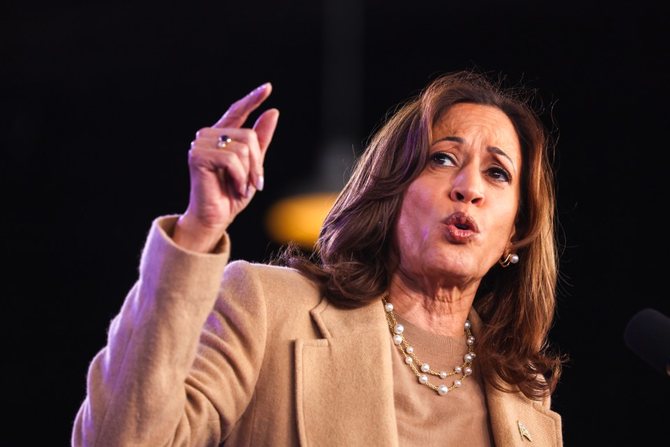 Kamala Harris lost Pennsylvania by two percent of the vote