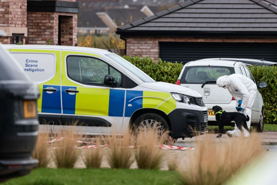 Forensic teams with search dogs attend at Ramsden Farm