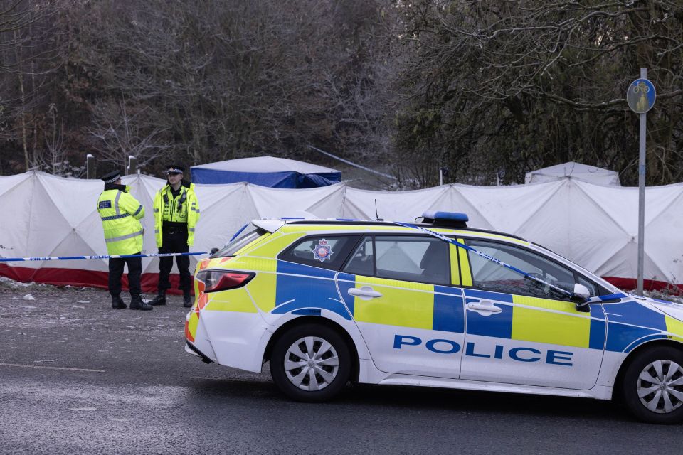 a police car is parked on the side of the road