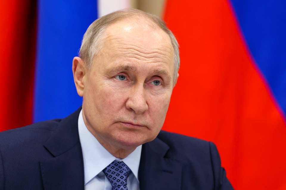 The mystery fault has sparked fears of Russian sabotage as experts believe Putin and his men could have 'enough motives' for a planned disruption