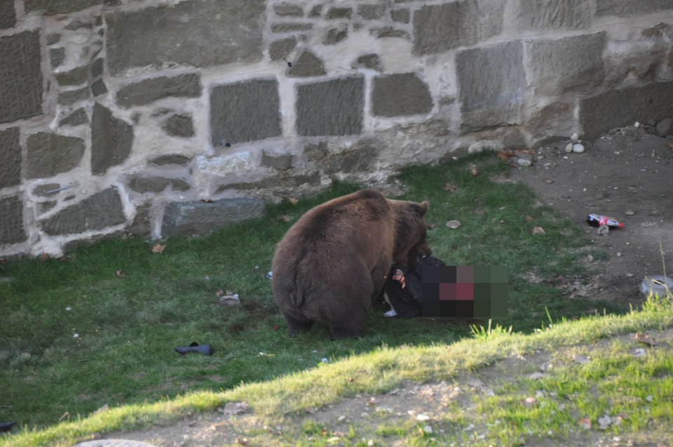 The bear continued to maul him until a police officer shot and wounded the animal