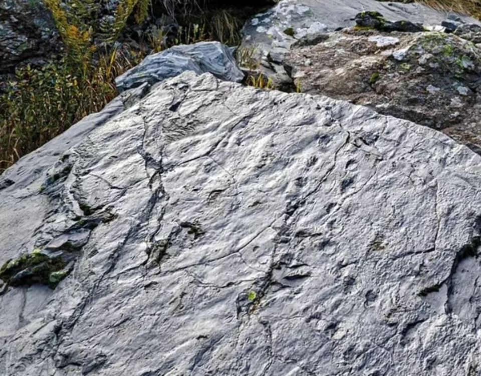 Claudia Steffensen and her husband stopped in their hike to look at marks in a grey rock