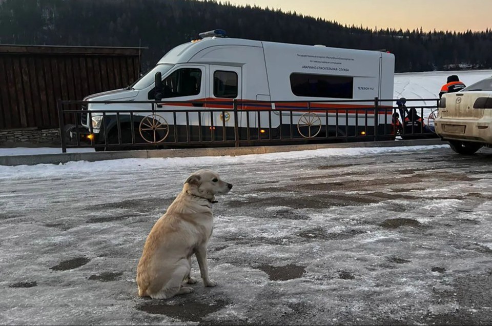 Belka waited patiently while rescue teams carried out a four-day search