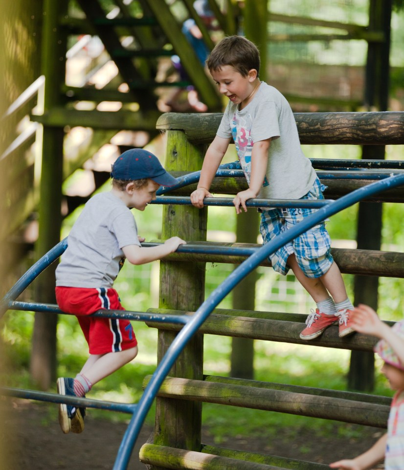 There are rope bridges, long slides and swings among the many playtime options