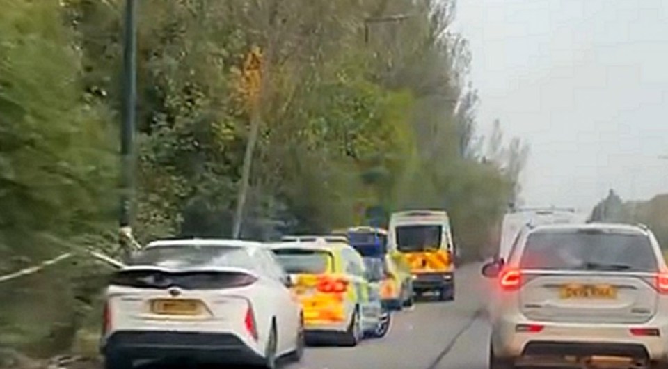 a row of cars are driving down a road next to trees .