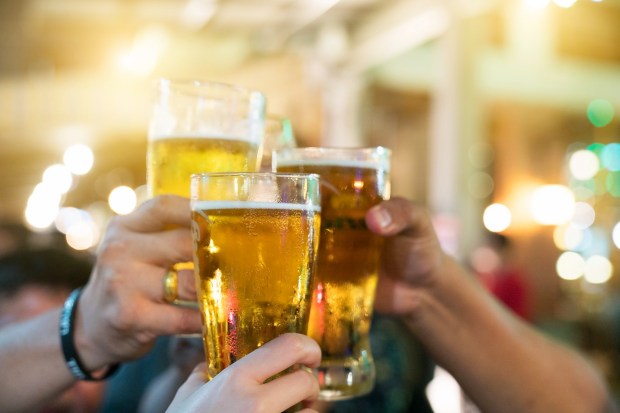 a group of people are toasting with glasses of beer