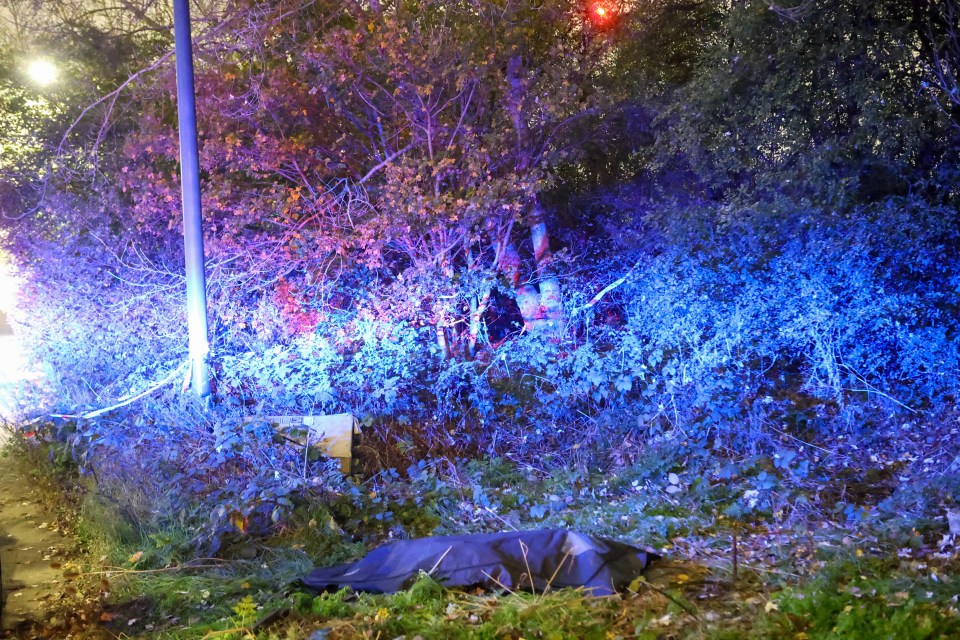 a person is laying in the grass with a blue light behind them