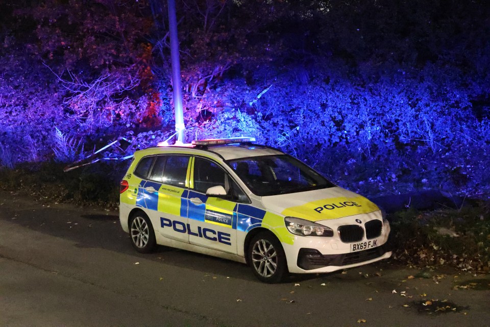 a police car is parked on the side of the road