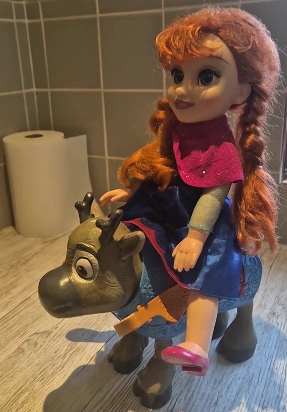 She got this gorgeous Frozen doll to go with a collection of bits from the films