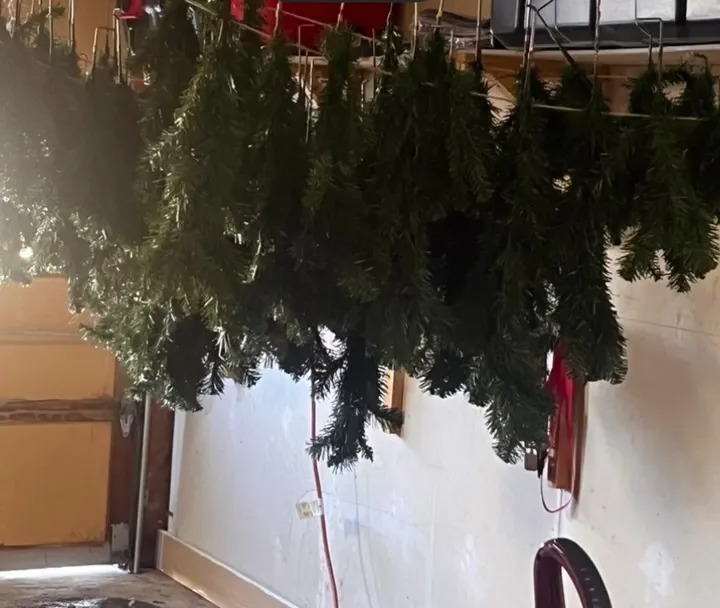 a bunch of christmas trees hanging from the ceiling in a garage