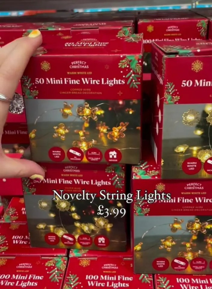 Not only has Aldi launched tinsel wreaths and plush Christmas toys, but there's also paint your own wooden toys and string lights too